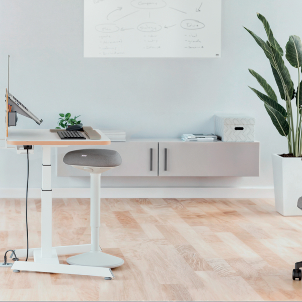 Moderne Arbeitsplatz mit höhenverstellbarem Schreibtisch, ergonomischem Hocker und großer Grünpflanze.