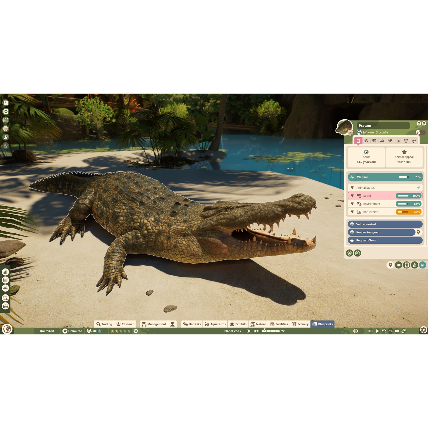 Crocodile marin sur une rive sableuse dans Planet Zoo avec interface.