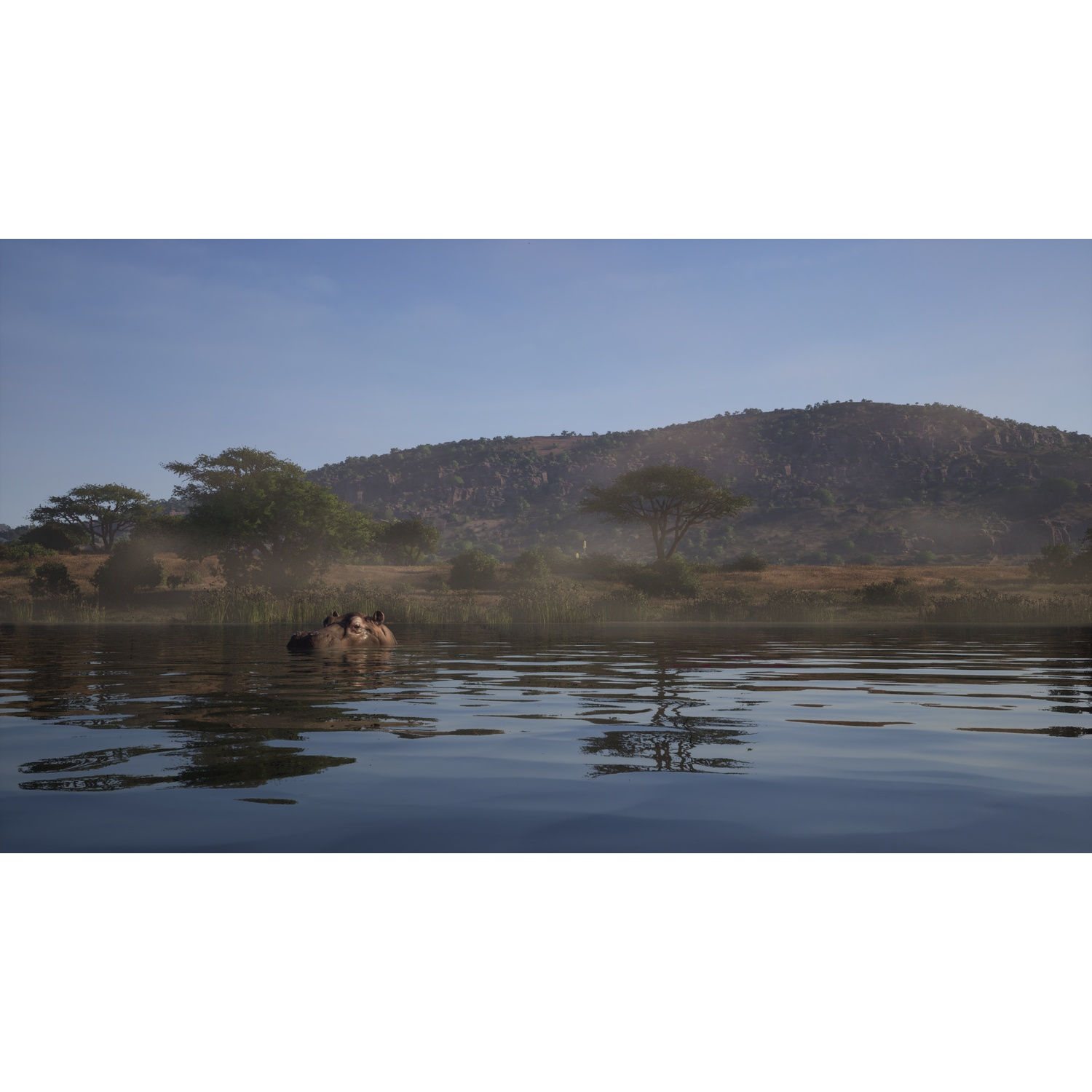 Un hippopotame émerge d'une rivière calme et bleue avec des rives herbeuses et des collines lointaines.
