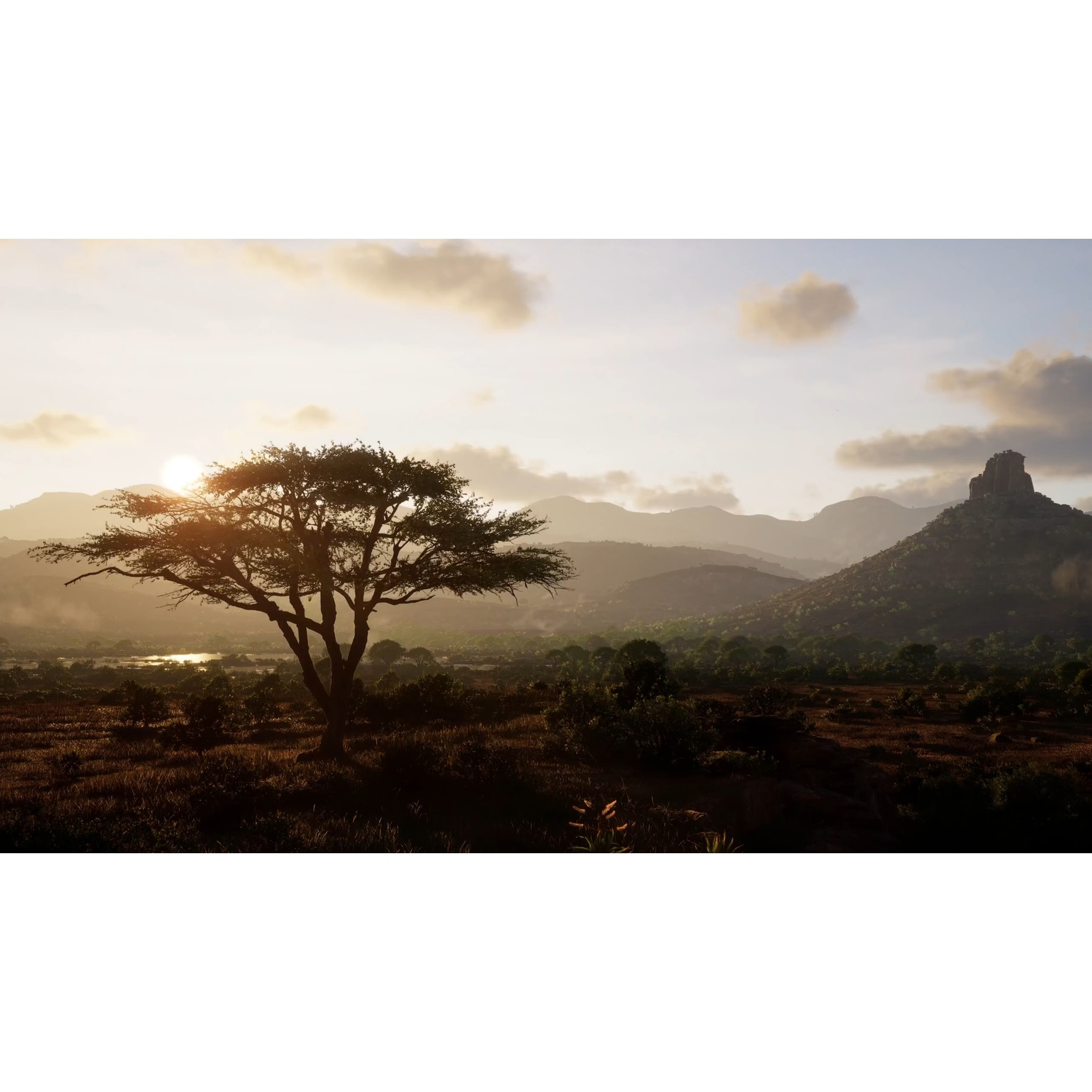 Paysage de savane au coucher du soleil avec un grand arbre au premier plan et des montagnes à l'arrière-plan.