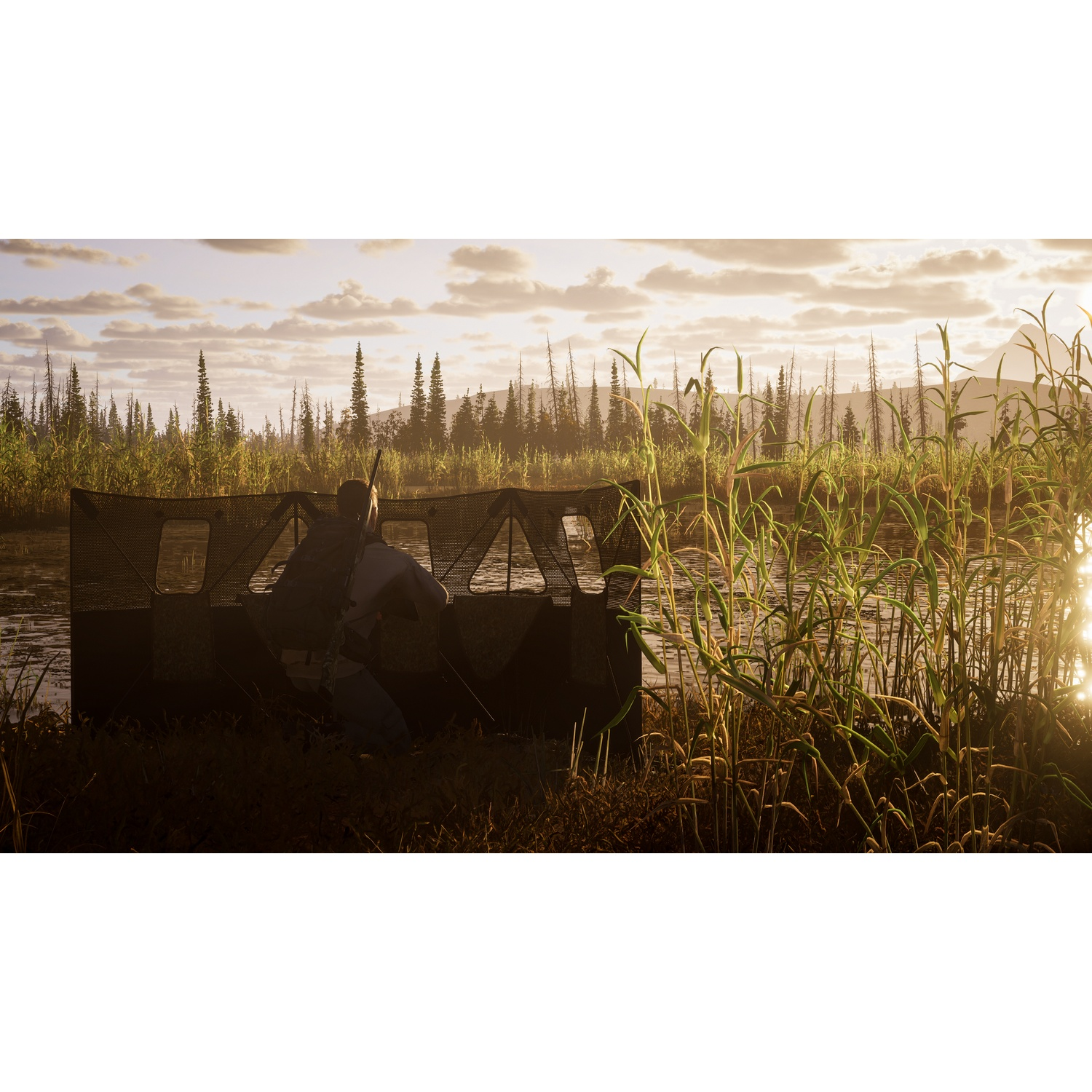 Un chasseur s'accroupit derrière une cache de camouflage au bord d'un lac, entouré de roseaux au coucher du soleil.