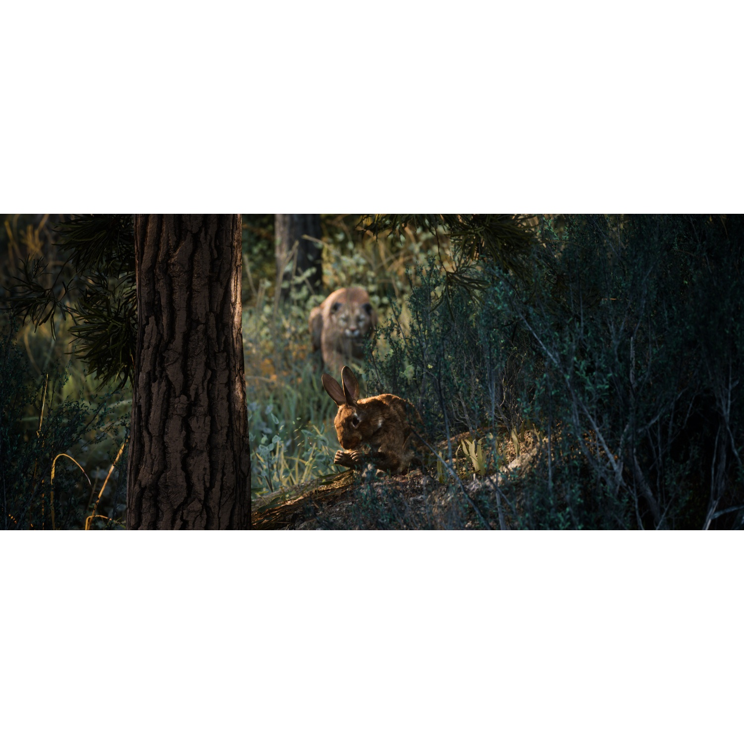Un lapin cherche de la nourriture en forêt tandis qu'un félin guette en arrière-plan.
