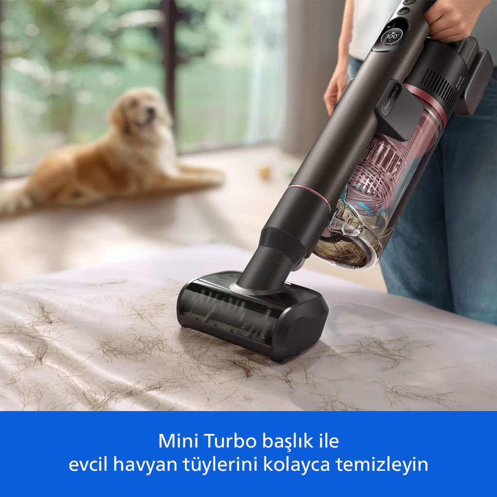 Arka planda bir köpekle, beyaz yüzeydeki evcil hayvan tüylerini temizleyen el süpürgesi.