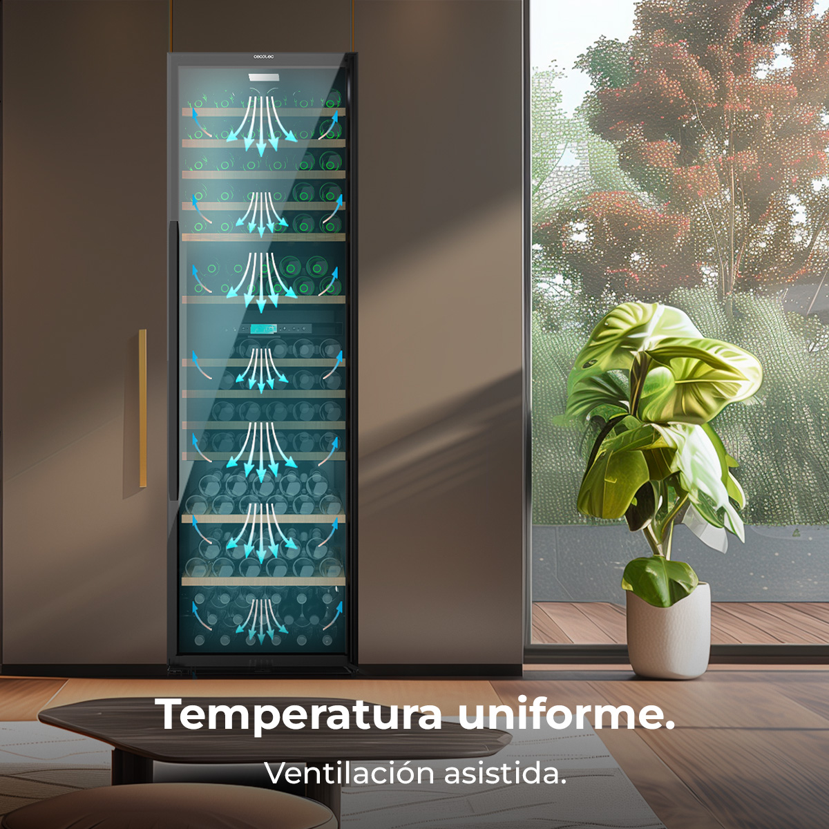 Una vinoteca con flechas de flujo de aire azul en una habitación moderna con una gran planta junto a la ventana.