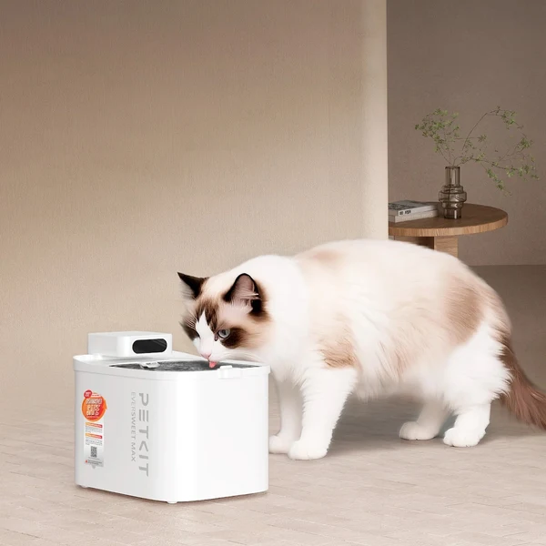 Un gatto bianco con macchie marroni beve acqua da una fontanella Petkit bianca in casa.