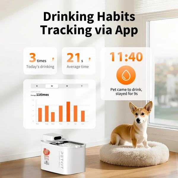 Un corgi si trova su un cuscino accanto a una fontanella automatica e alle statistiche dell'app.