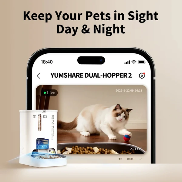 Smartphone che mostra un video in diretta di un gatto vicino a una mangiatoia automatica su sfondo beige.