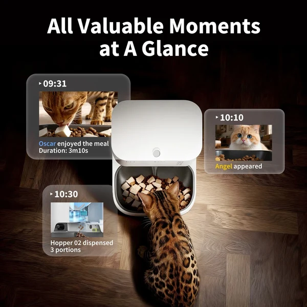 Distributore automatico di cibo per animali con telecamera su pavimento in legno.