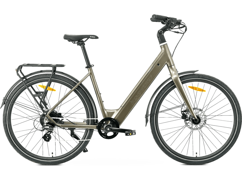 Vélo de Ville Électrique MS Energy Zorya Bronze