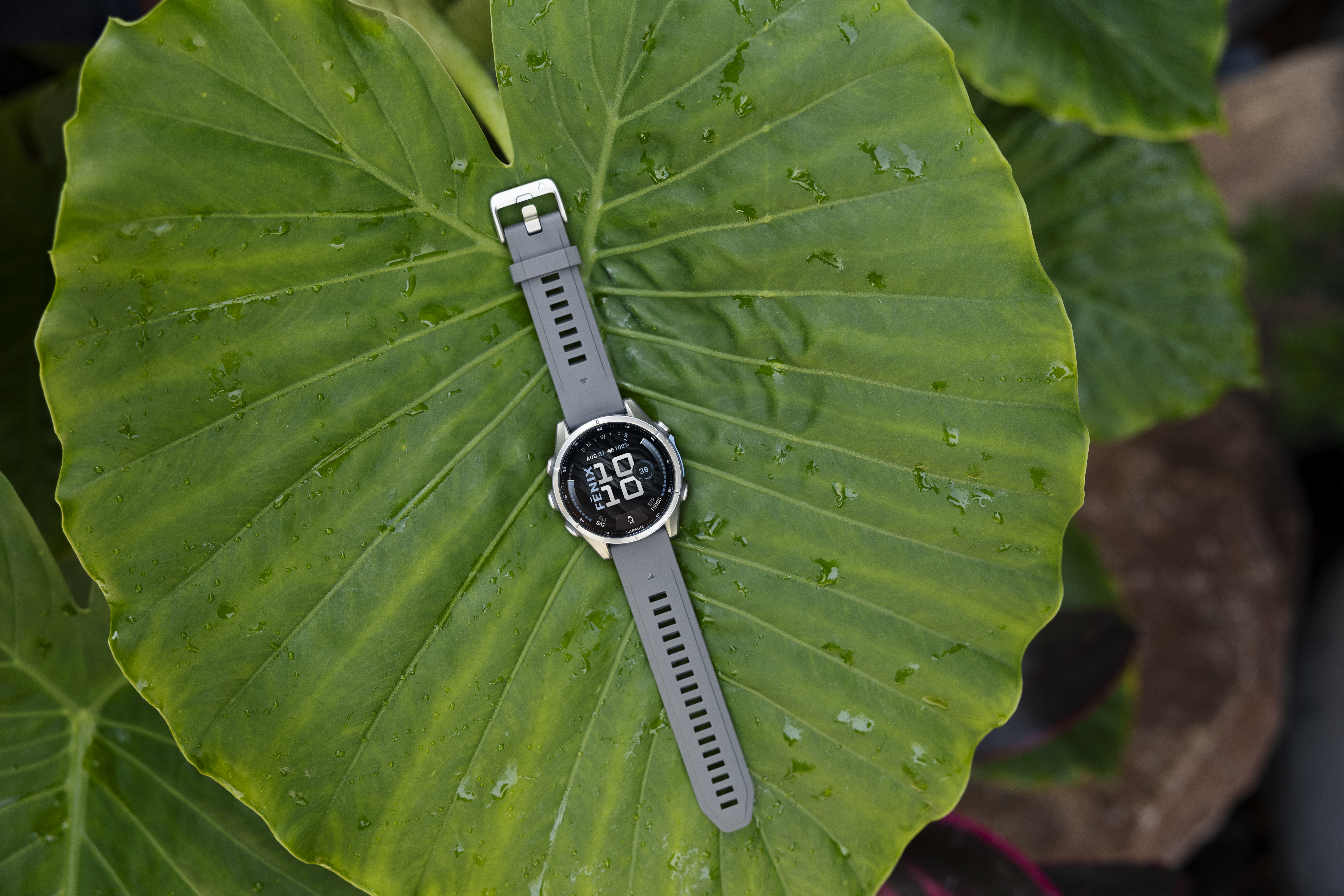Eine graue Smartwatch mit Kautschukarmband liegt auf einem großen, taubedeckten grünen Blatt.