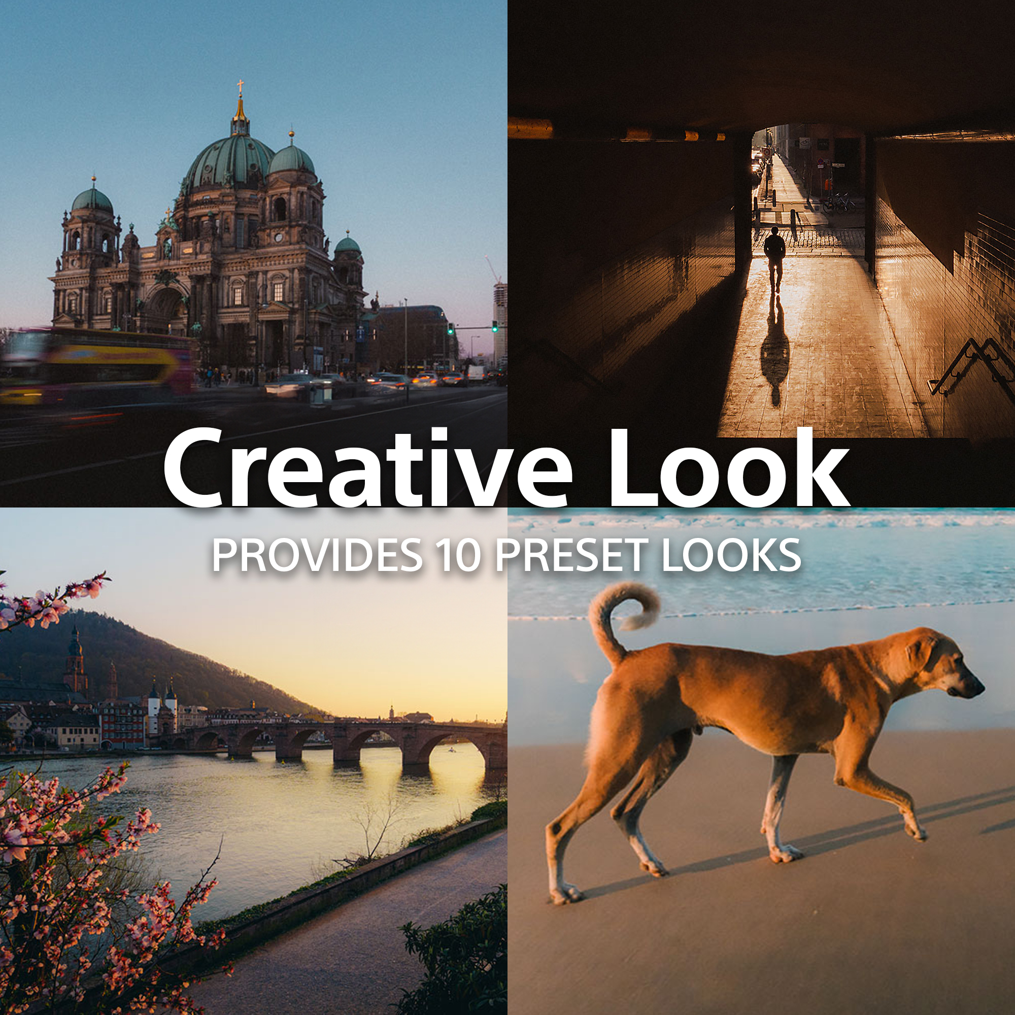Collage aus vier Fotos mit Kathedrale, Tunnel, Brücke bei Sonnenuntergang und Hund am Strand; Text Creative Look.