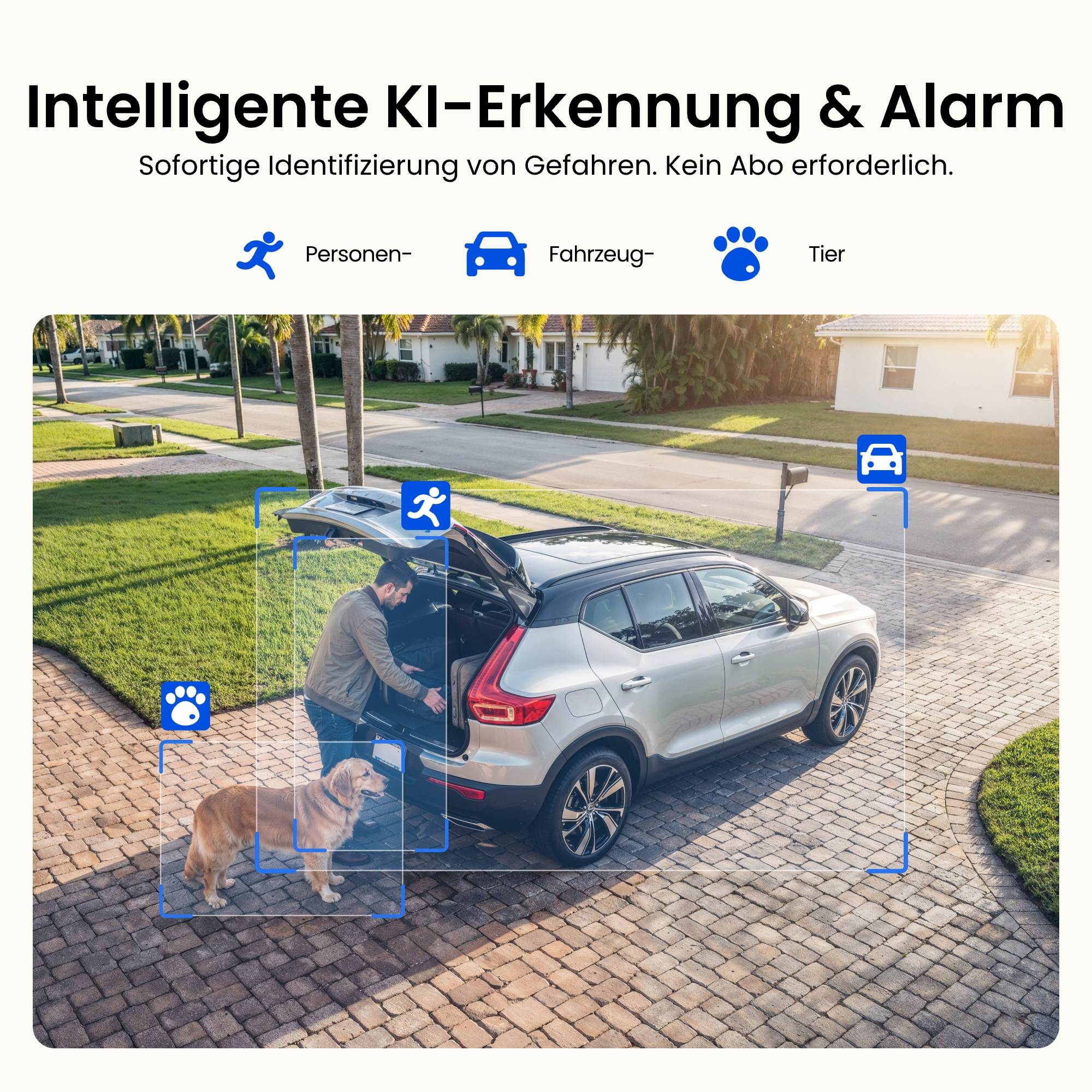 KI-Erkennung zeigt Mann, Auto und Hund in der Einfahrt.