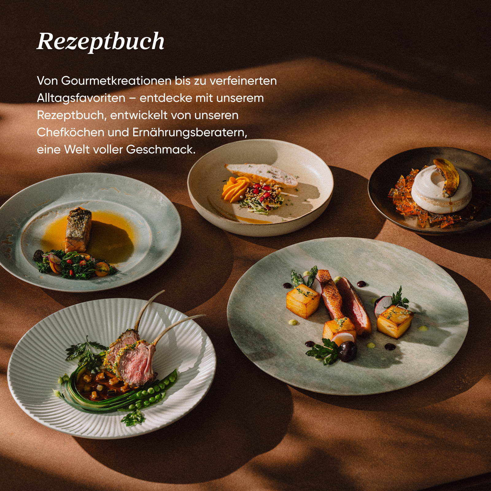 Verschiedene gourmetgerichte auf tellern mit text "Rezeptbuch" oben links auf braunem grund.
