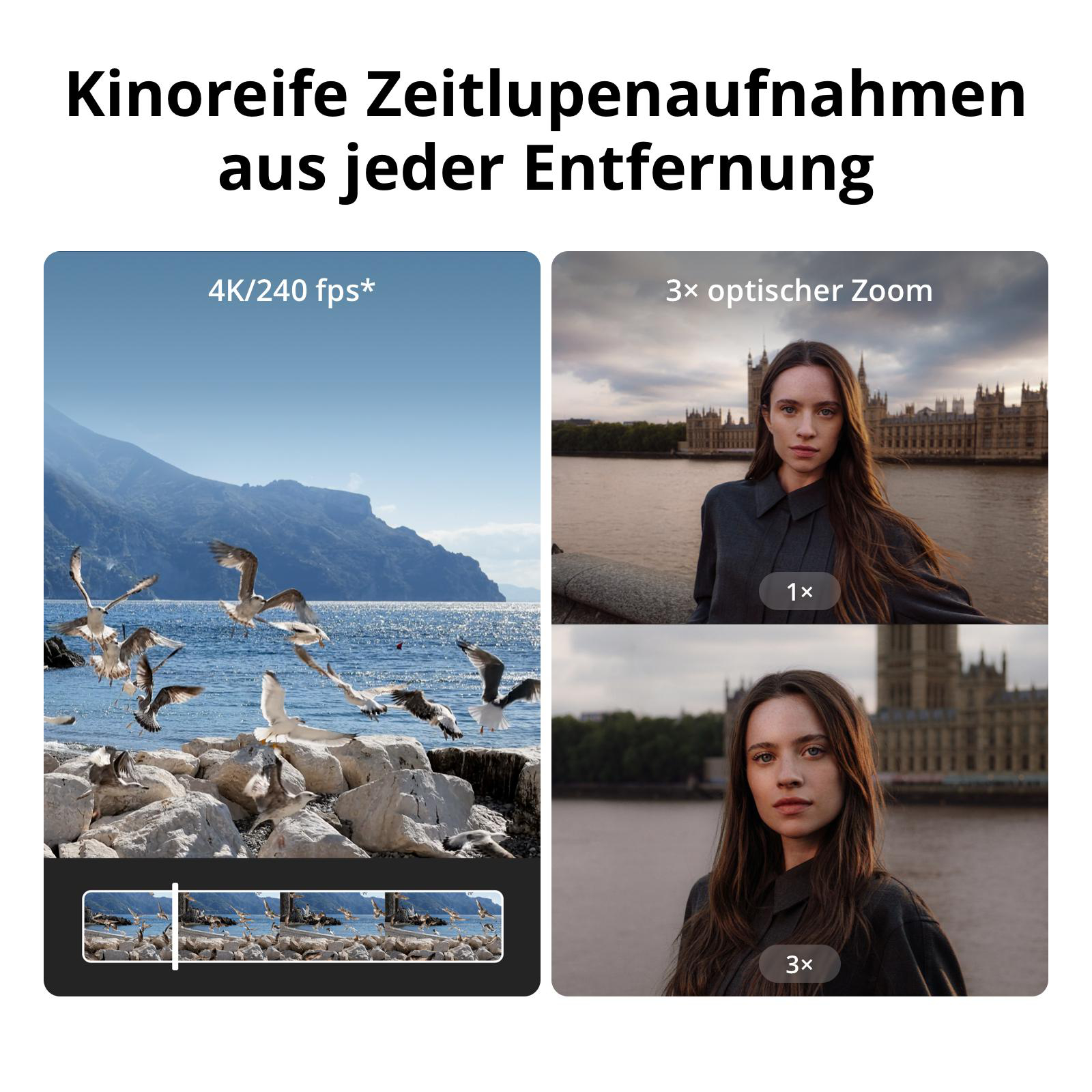 Infografik mit Zeitlupen-Möwen über dem Meer und einer Frau mit 3-fachem Zoom.