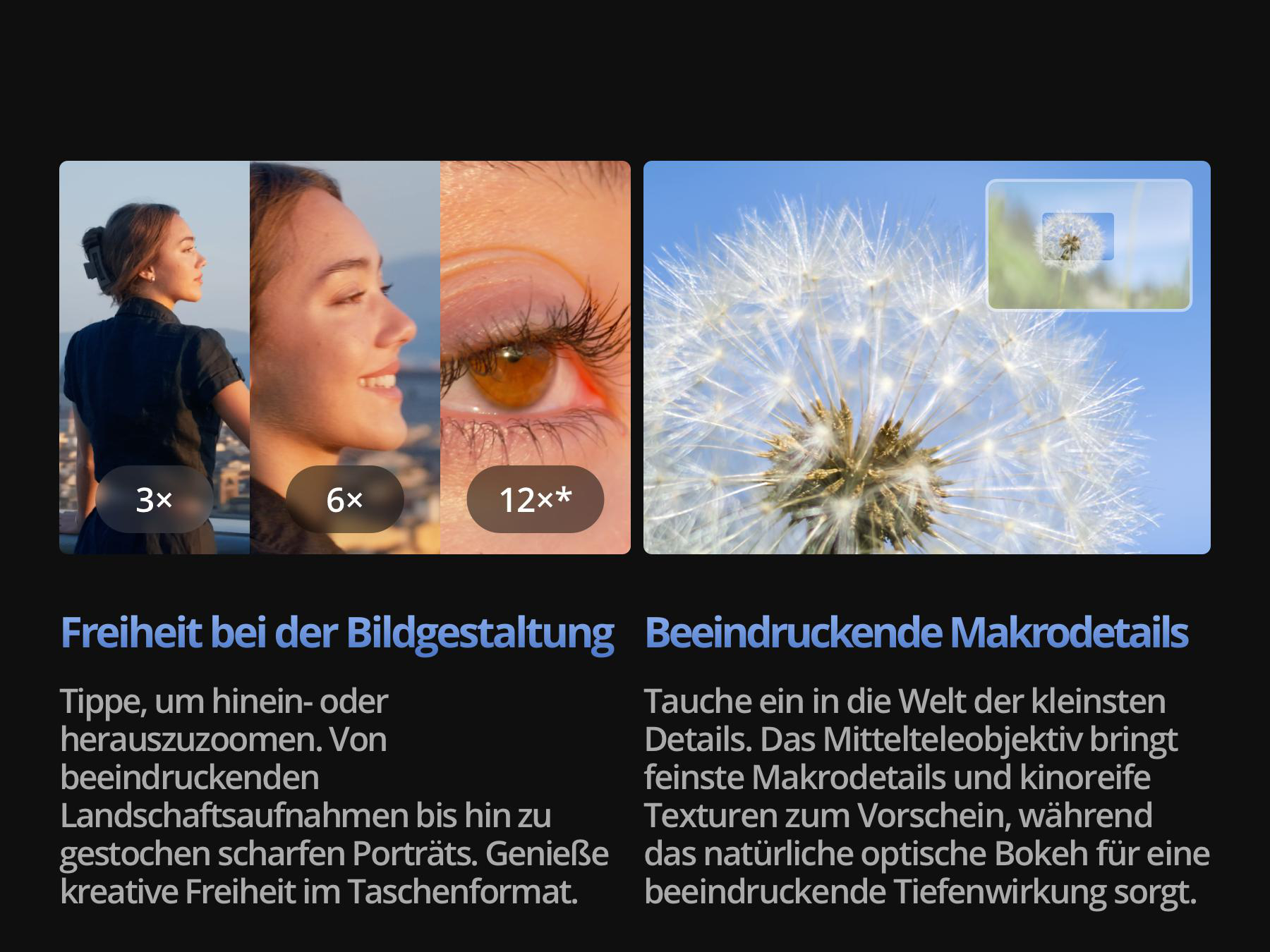 Werbegrafik zeigt Zoom-Stufen einer Kamera von Landschaft bis Makro mit Text auf Deutsch.