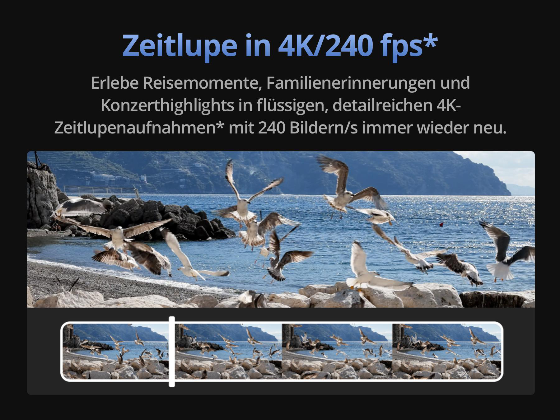 Seemöwen fliegen über einer felsigen Küste, unten dargestellt in vier Zeitlupen-Videobildern.