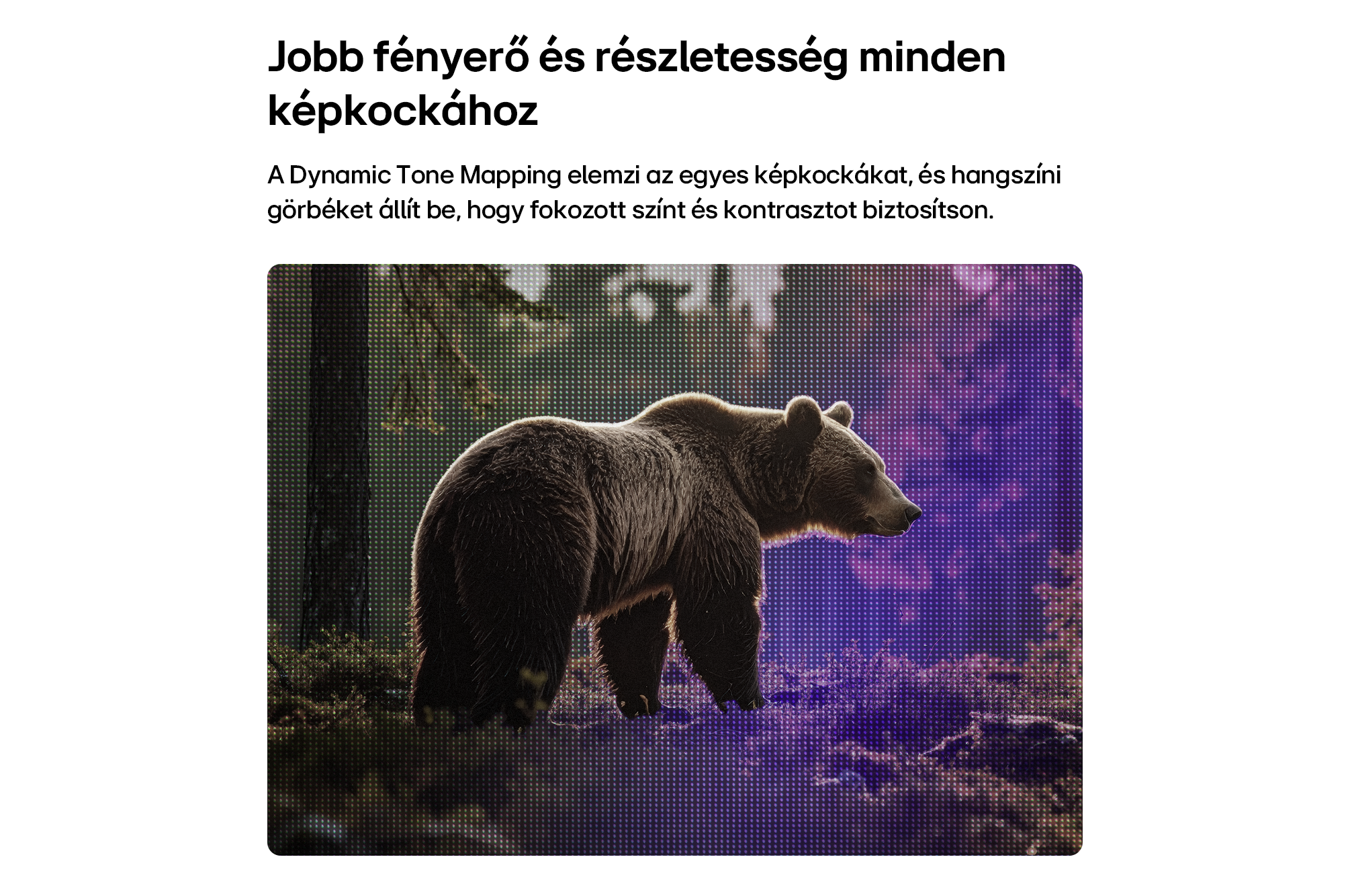 Egy barna medve áll egy erdőben, fákkal és lila megvilágítással, pixeles hatással.