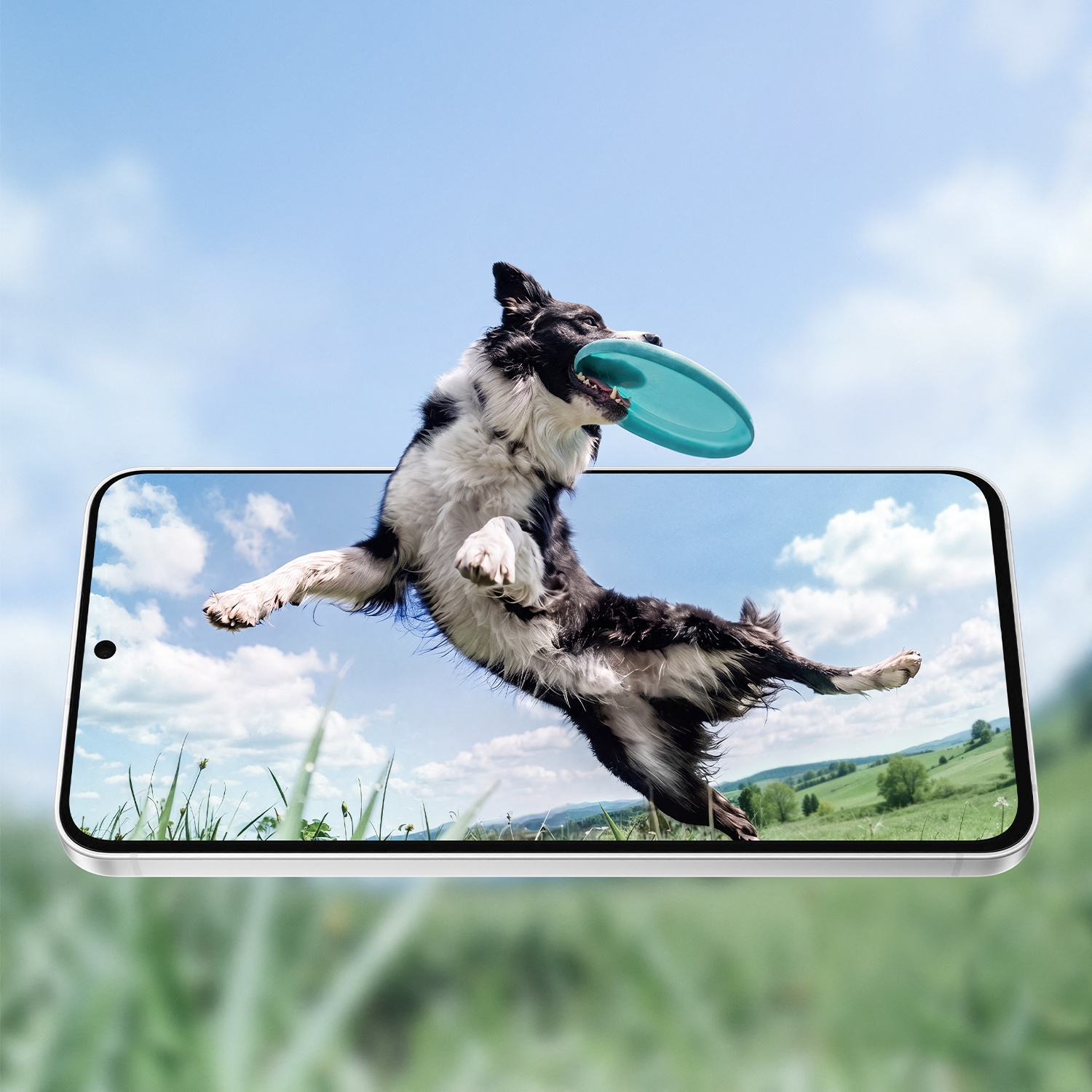Een zwart-witte hond springt uit een smartphonescherm en vangt een blauwe frisbee.