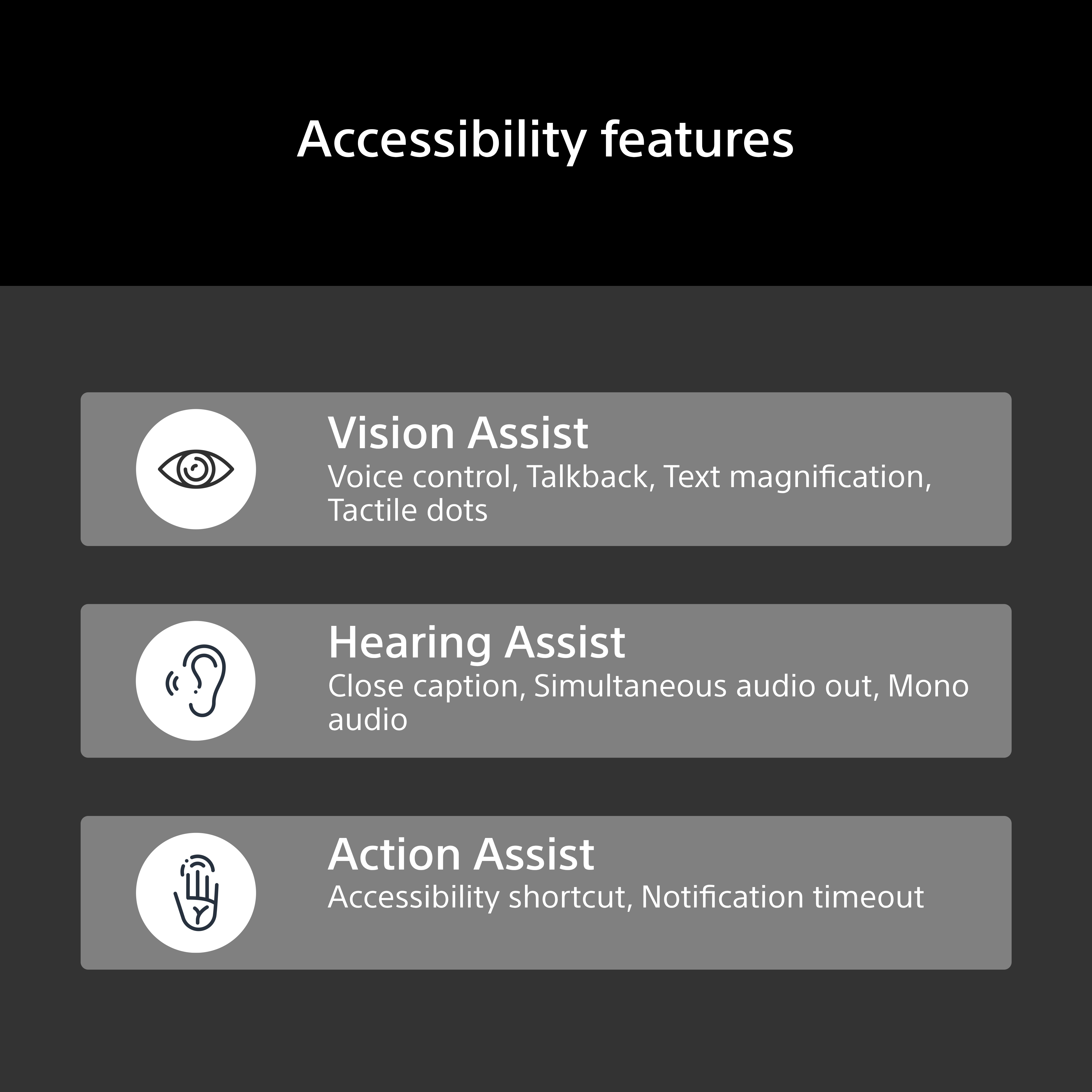 Menu delle funzioni di accessibilità con tre opzioni: Assistenza visiva, acustica e per azioni.