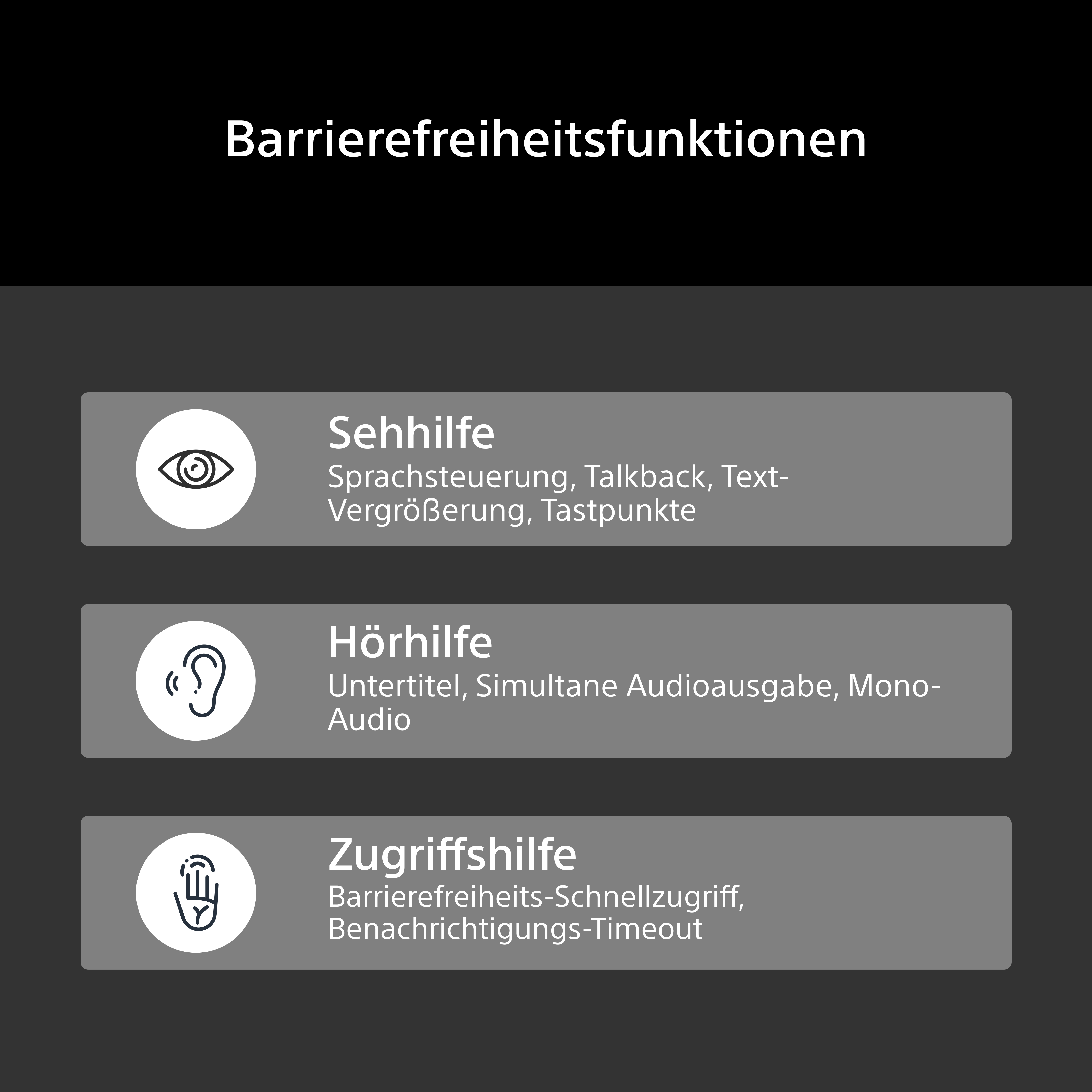 Menü für Barrierefreiheitsfunktionen mit Seh-, Hör- und Zugriffshilfe.