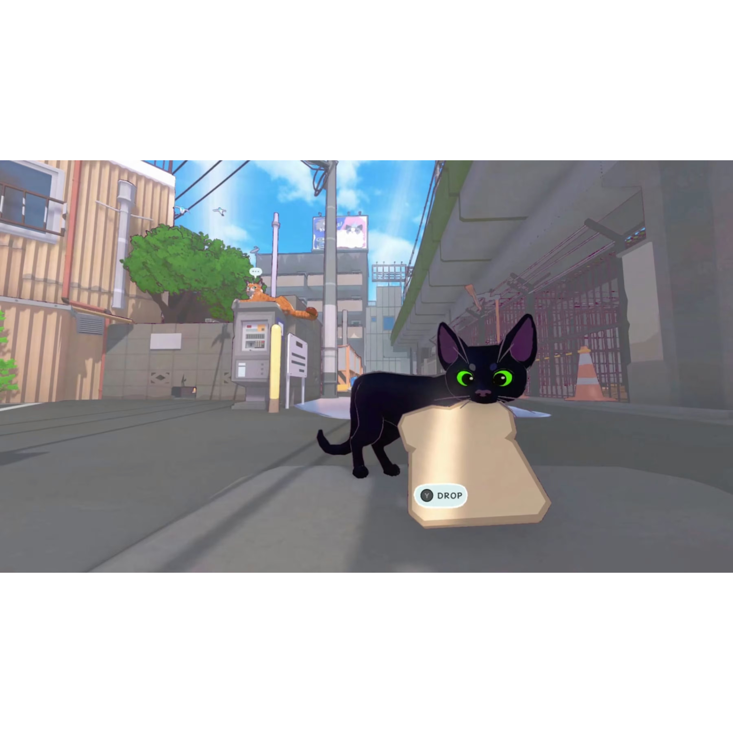 Un chat noir aux yeux verts tient une tranche de pain dans sa gueule dans une rue.