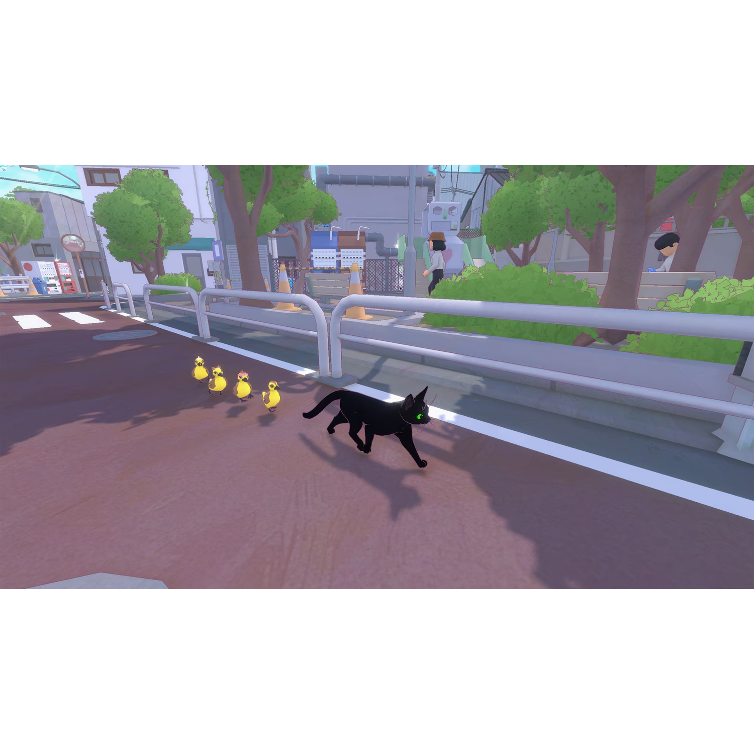 Un chat noir marche dans une rue, suivi de près par quatre petits canards jaunes.