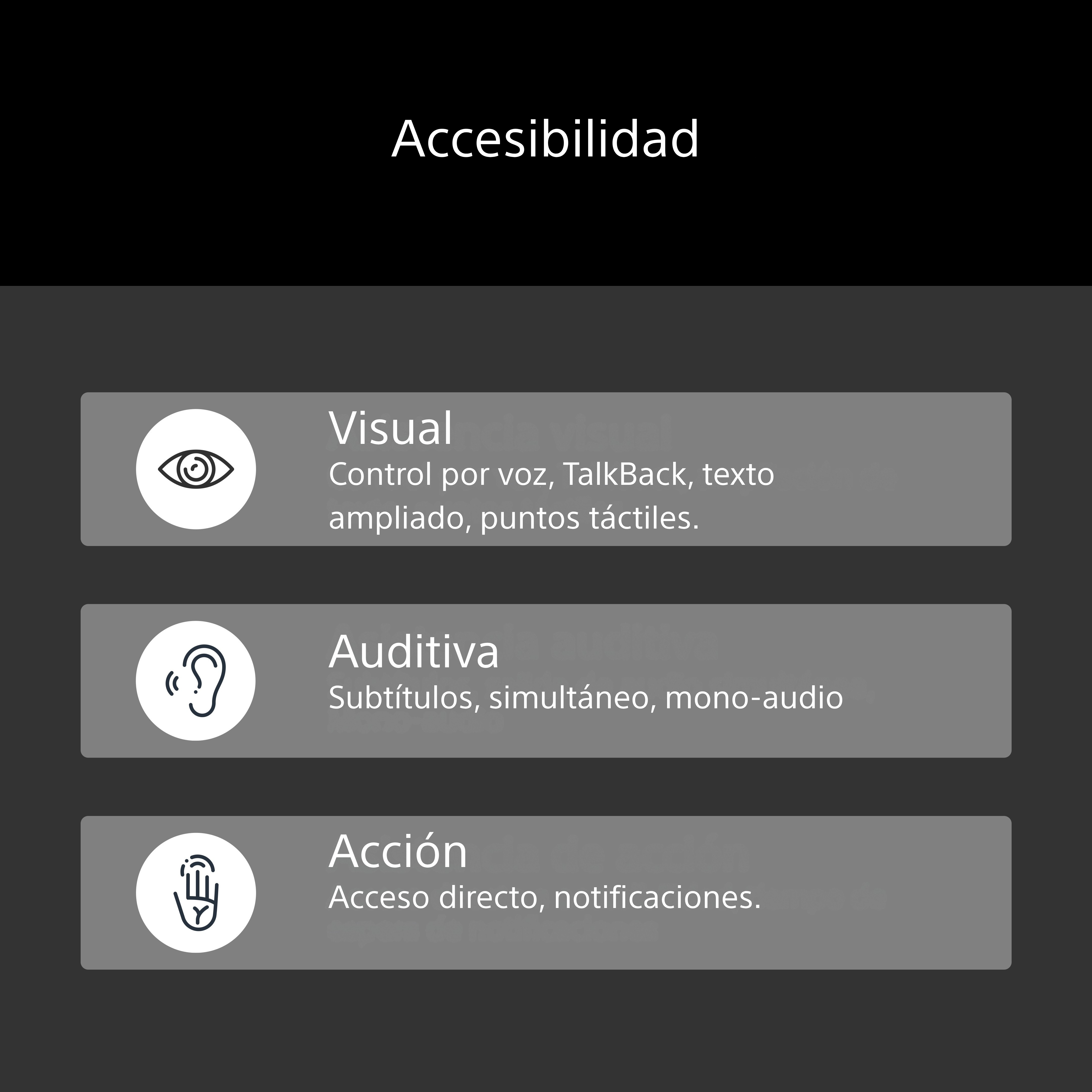Accesibilidad: Visual, Auditiva y Acción.