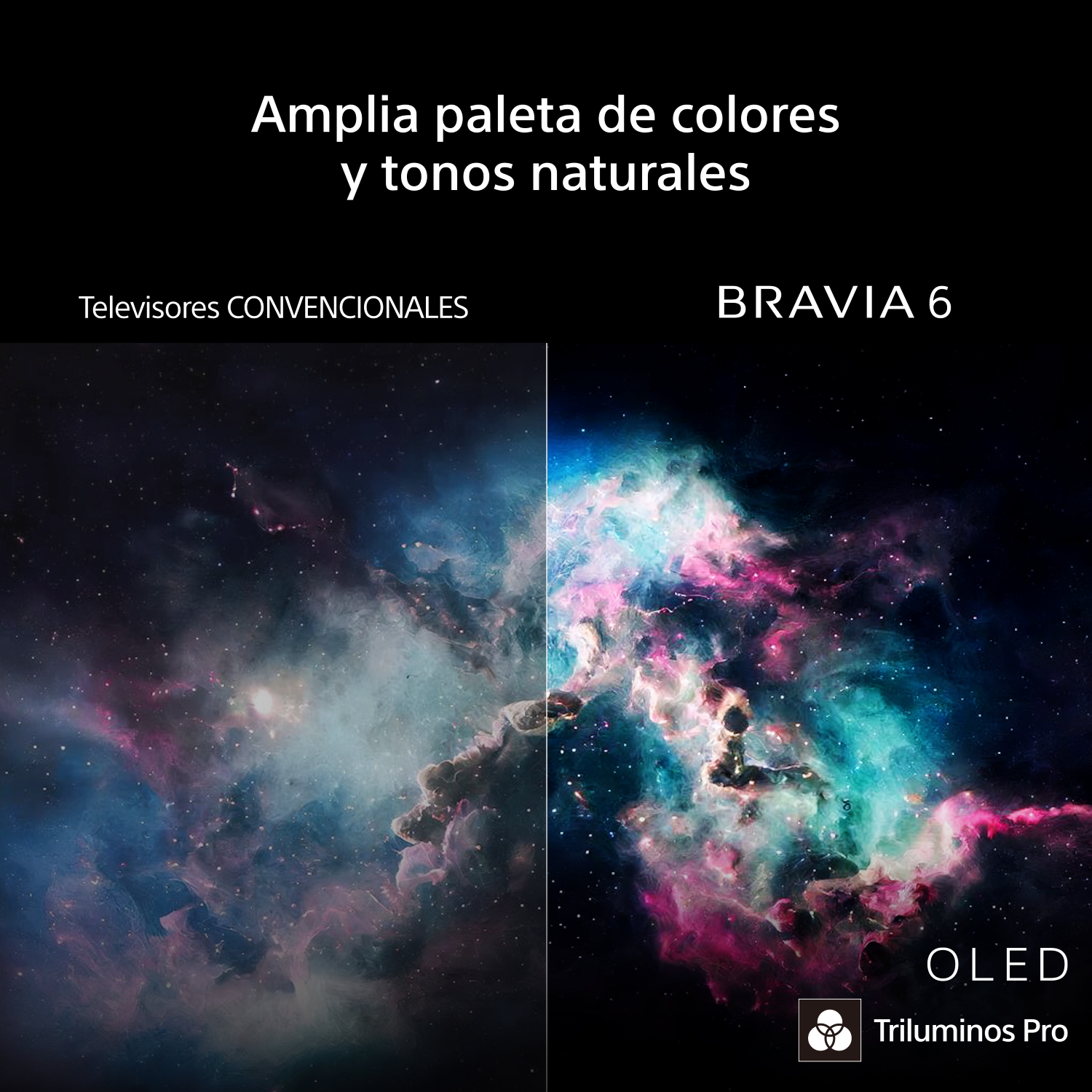 Amplia la paleta de colores y tonos naturales. Televisores convencionales vs BRAVIA 6 OLED con Triluminos Pro.