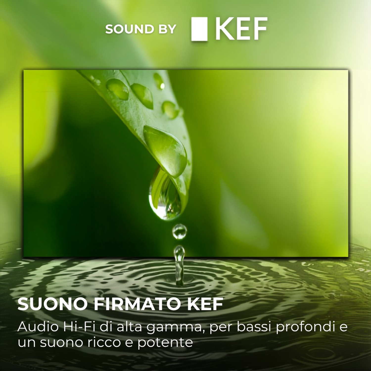 Gocce d'acqua cadono da una foglia verde nell'acqua.