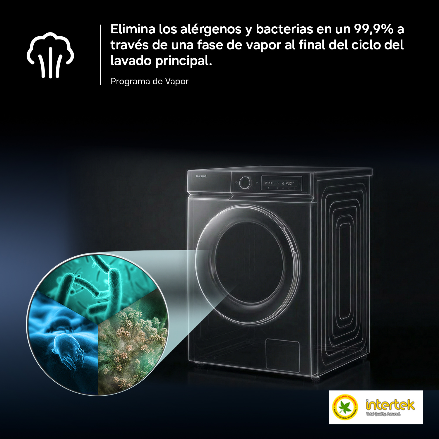 Gráfico de lavadora mostrando vapor eliminando bacterias y alérgenos en un círculo.