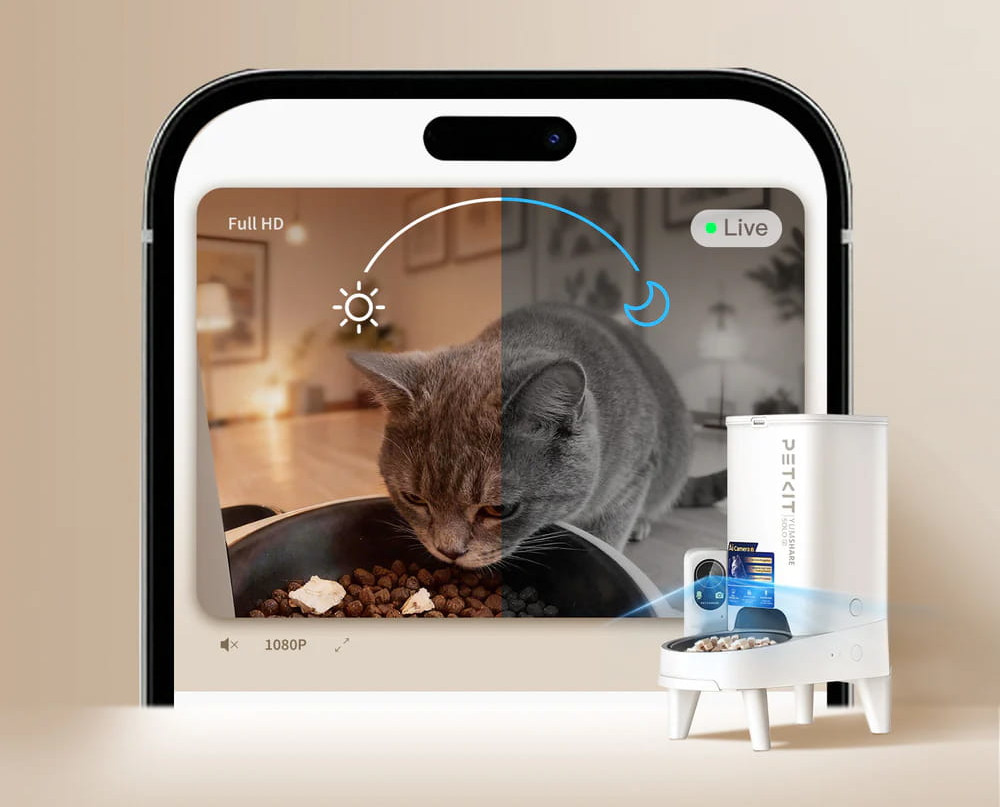Smartphonescherm toont een etende kat, met een Petkit-voederbak in de buurt.