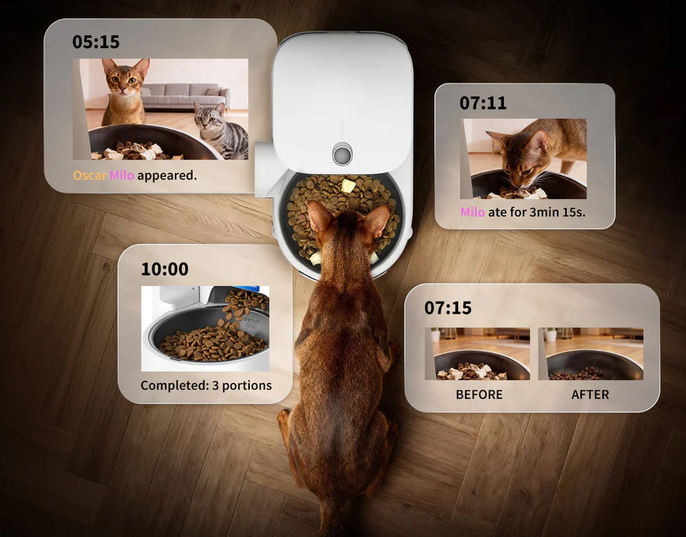 Een automatische kattenvoerbak met app-monitoringschermopnamen en een etende kat.