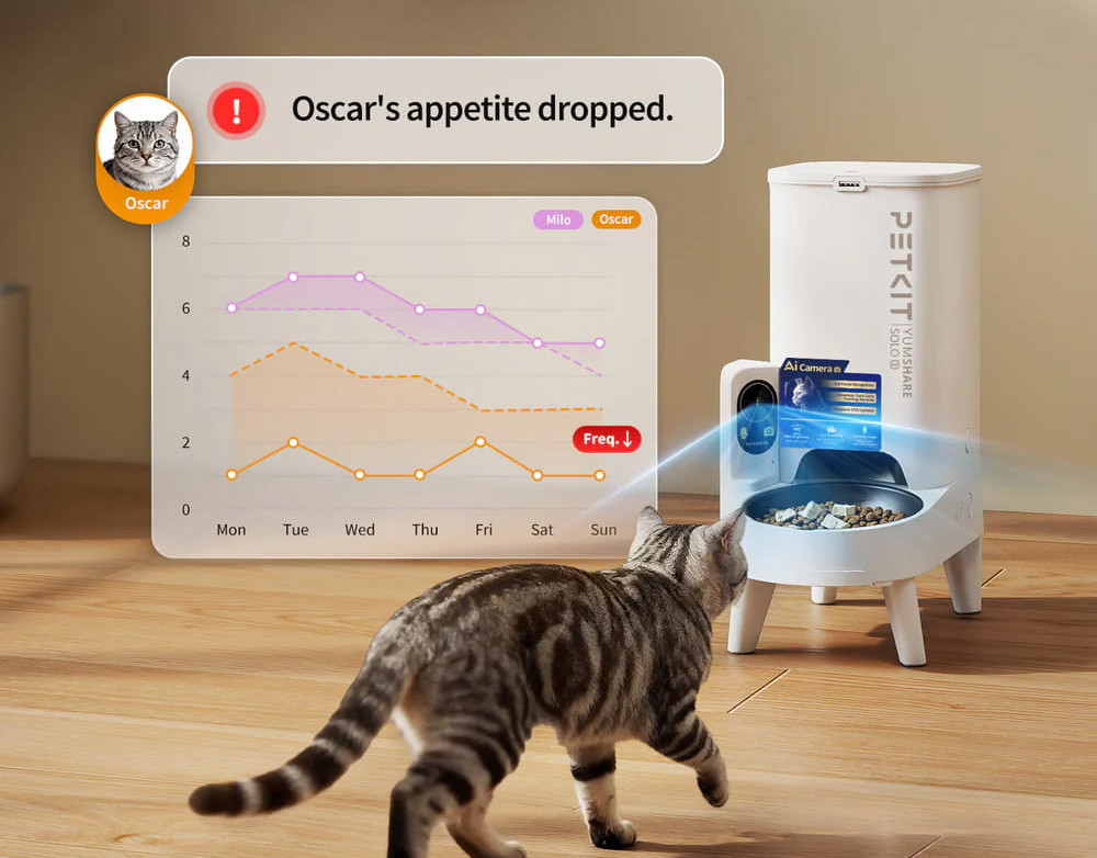 Een kat benadert een slimme voerbak terwijl een scherm een waarschuwing en statistieken toont.