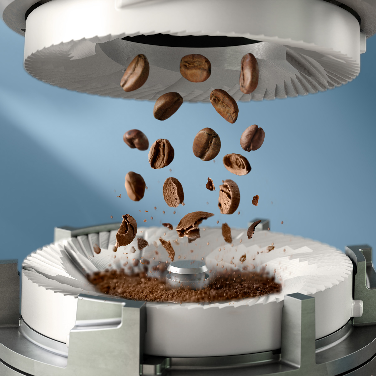 Coffee beans fall between the burrs of a coffee grinder and get ground.