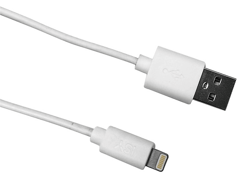 CAVO LIGHTNING ISY IUC-1109 da 1 metro