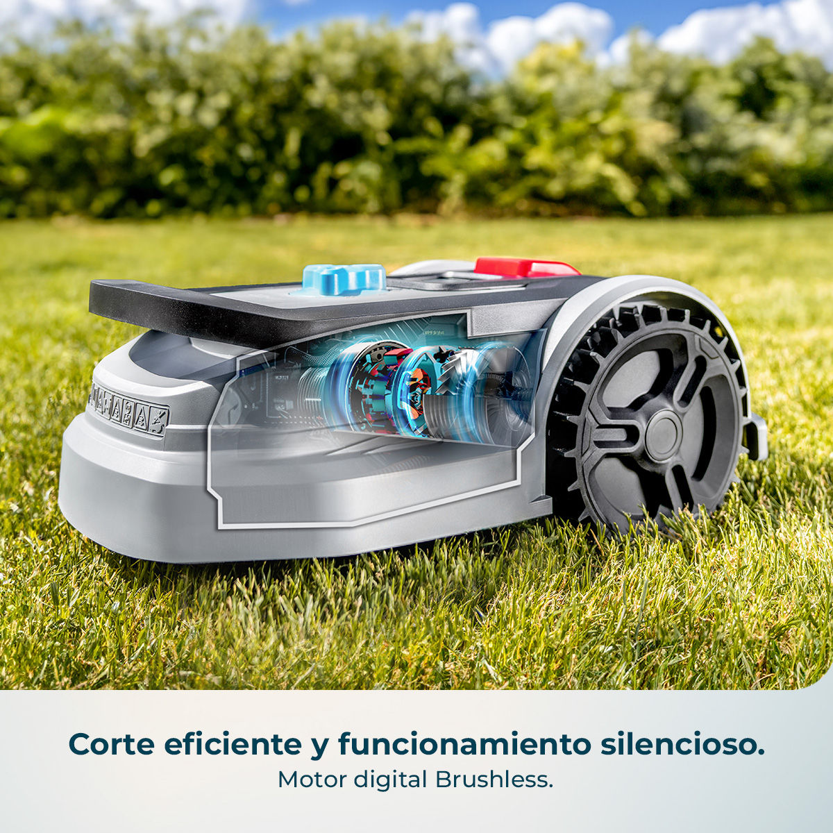 Robot cortacésped en césped verde con corte transparente que muestra su motor sin escobillas.