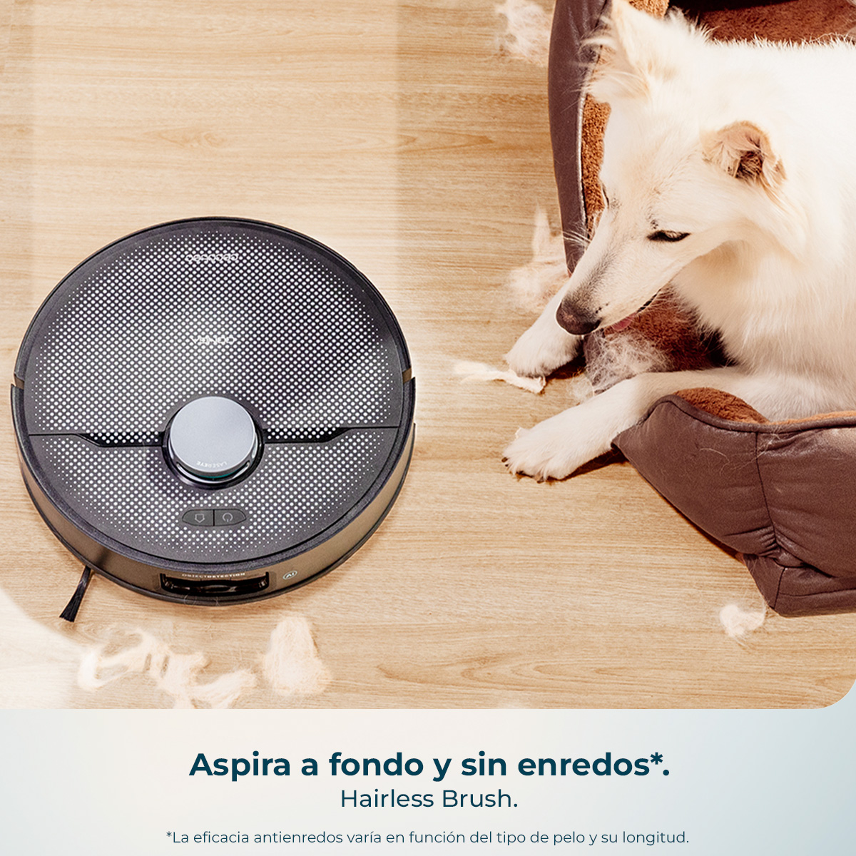 Un robot aspirador negro en suelo de madera junto a una cama de perro con un perro blanco y pelo suelto.