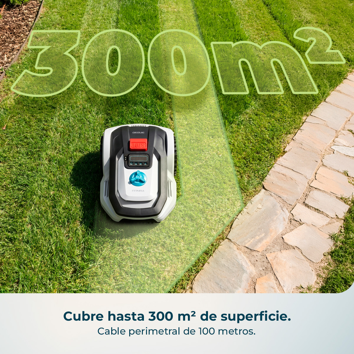Un robot cortacésped en césped verde junto a un camino de piedra, cubriendo 300m2.