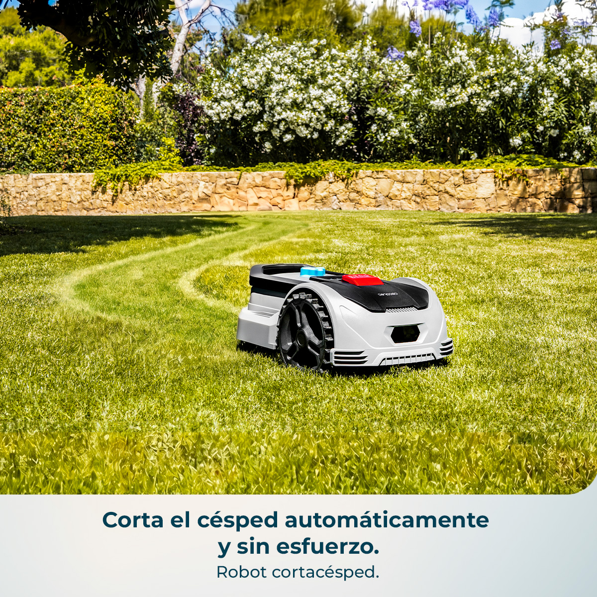 Un robot cortacésped autónomo corta el césped al sol frente a un muro de piedra.
