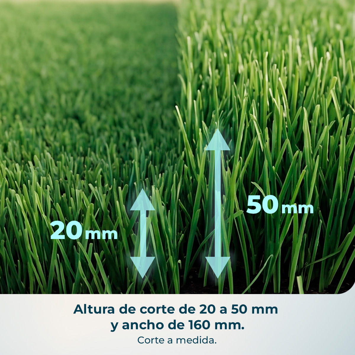 Césped con alturas de corte de 20 mm y 50 mm, mostrado con flechas azules.