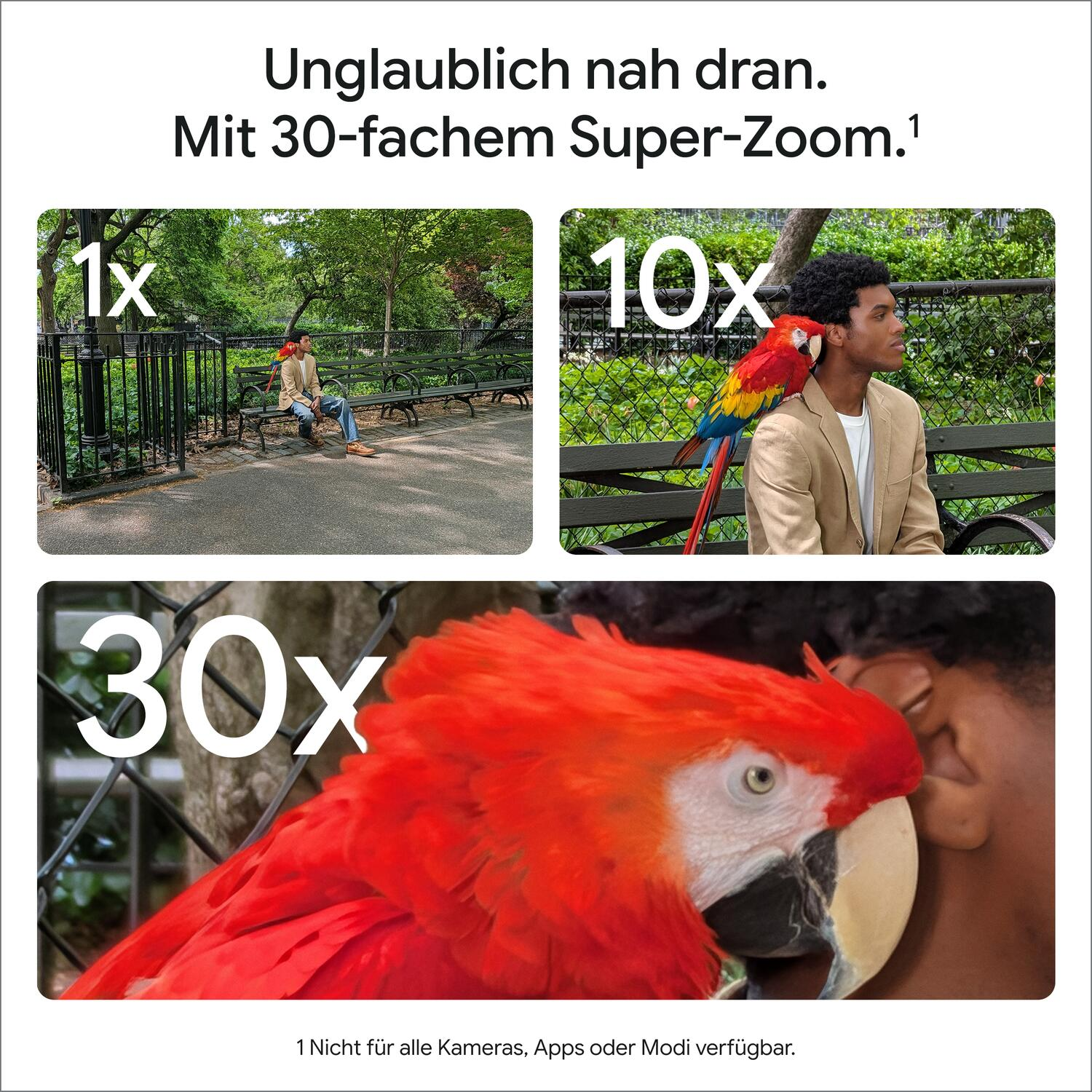 Drei Bilder zeigen einen Mann im Park mit einem roten Papagei auf der Schulter bei 1x, 10x und 30x Zoom.