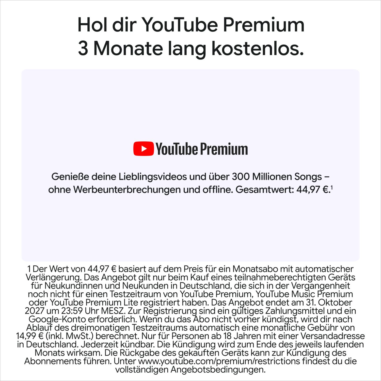 Werbung für 3 Monate kostenloses YouTube Premium mit Text und Bedingungen in deutscher Sprache.