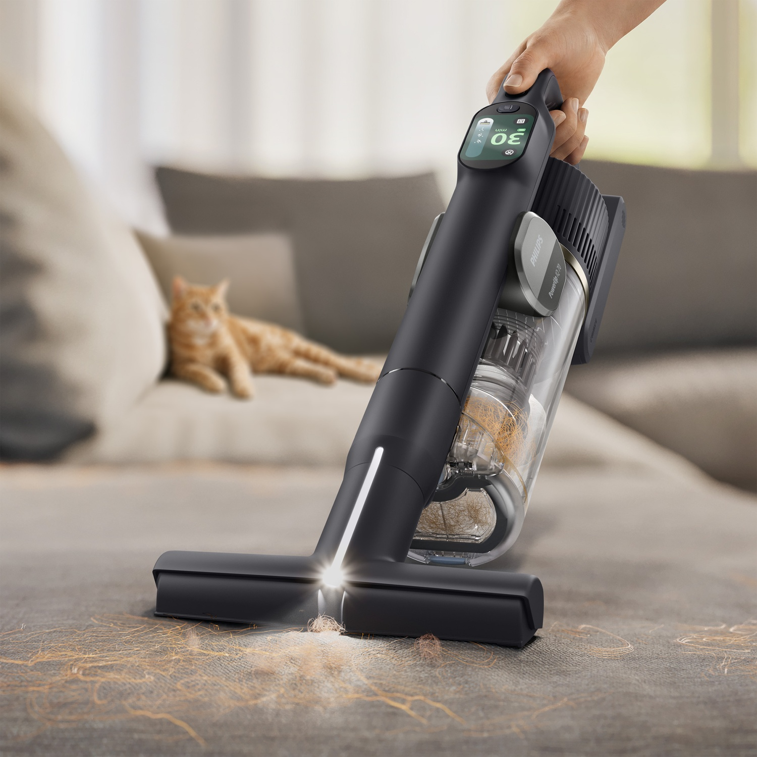 A hand holds a black cordless vacuum cleaner, cleaning pet hair from a sofa with a cat relaxing in the blurred background.