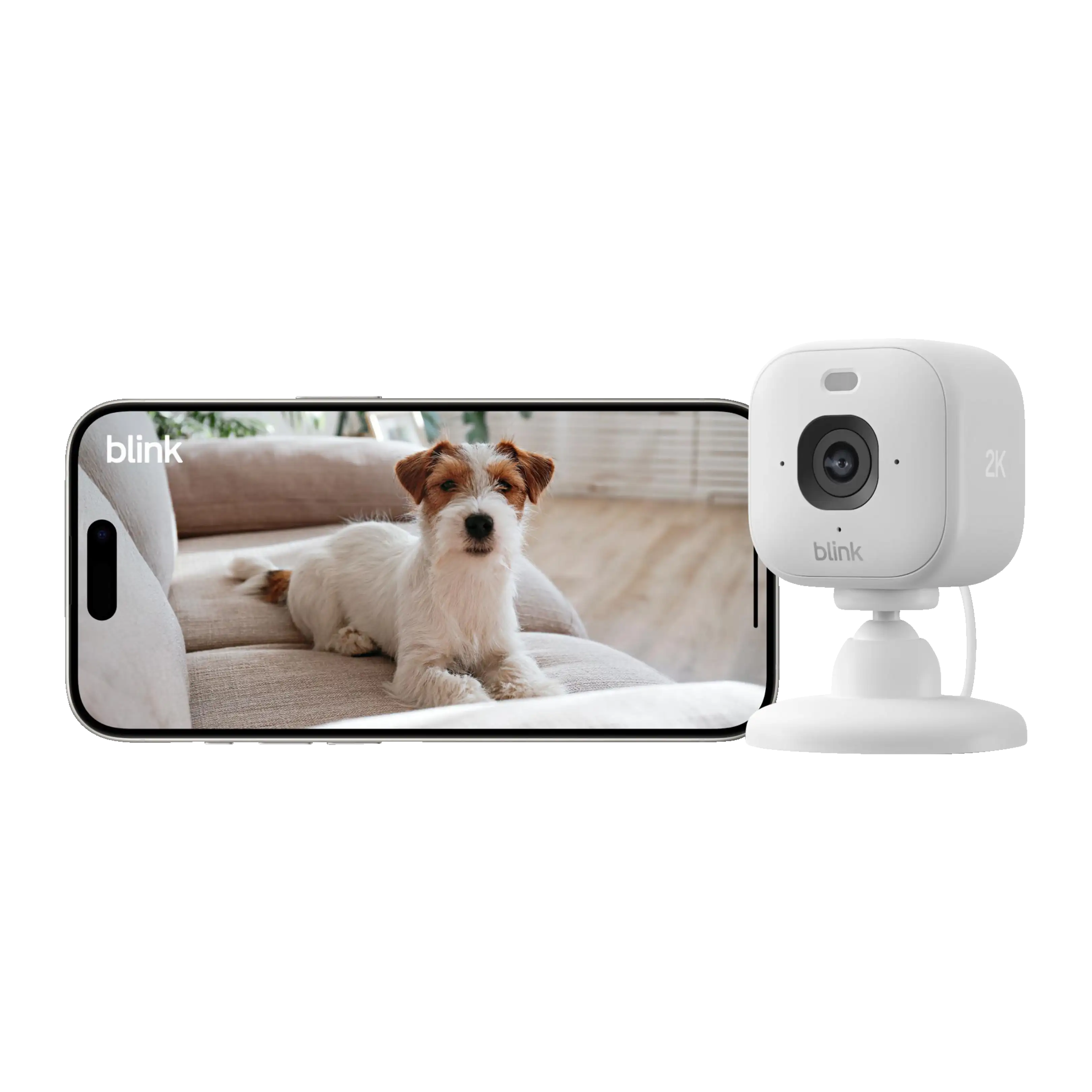 Una cámara de seguridad blanca Blink al lado de un smartphone que muestra un perro en un sofá.