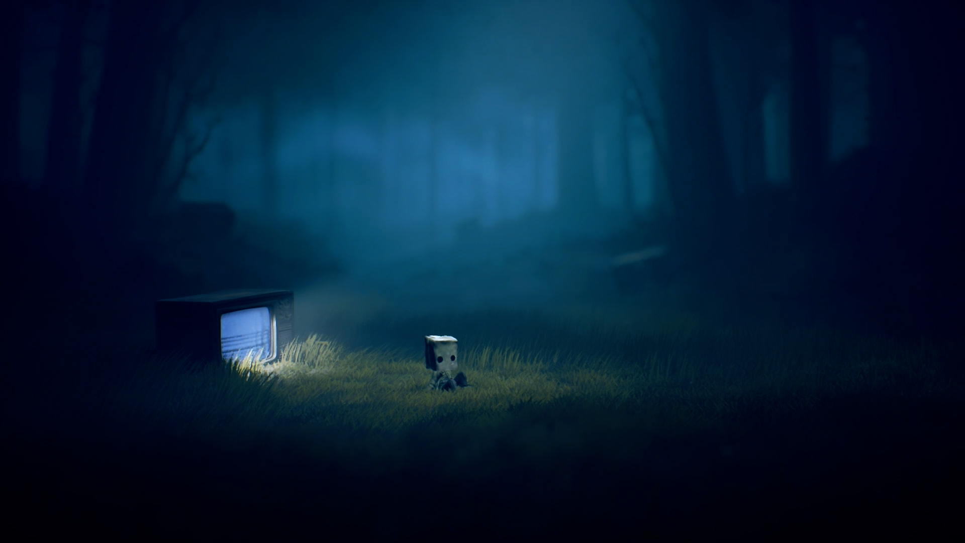 Un petit personnage avec un sac en papier sur la tête est assis dans une forêt sombre devant une télévision allumée.