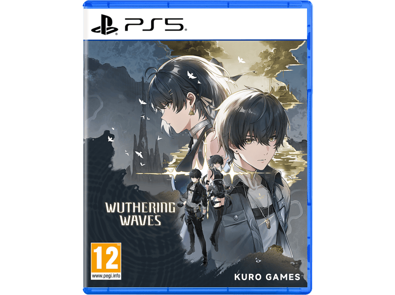 Gra PS5 CENEGA Wuthering Waves Deluxe Collection