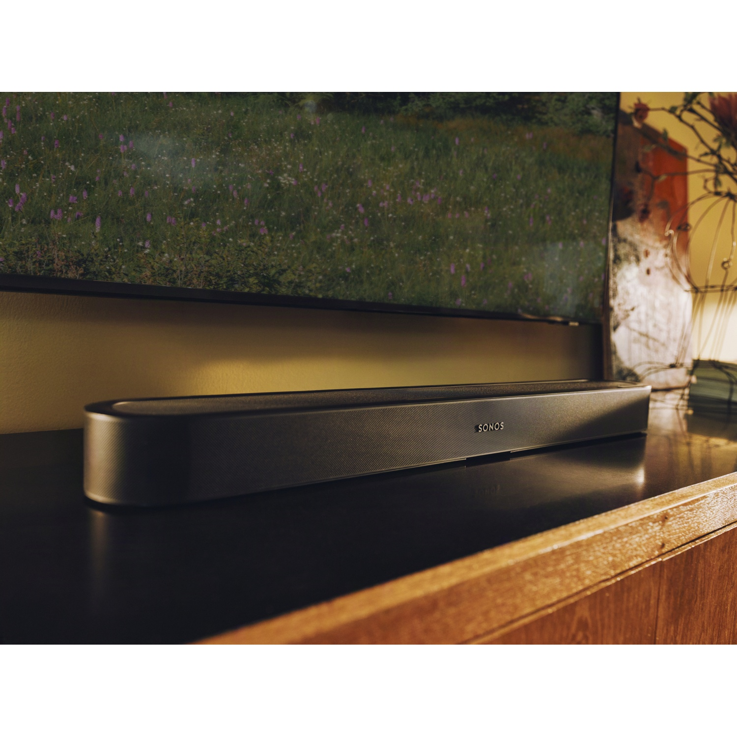 Une barre de son Sonos noire sur un meuble sombre sous une télé montrant un champ.