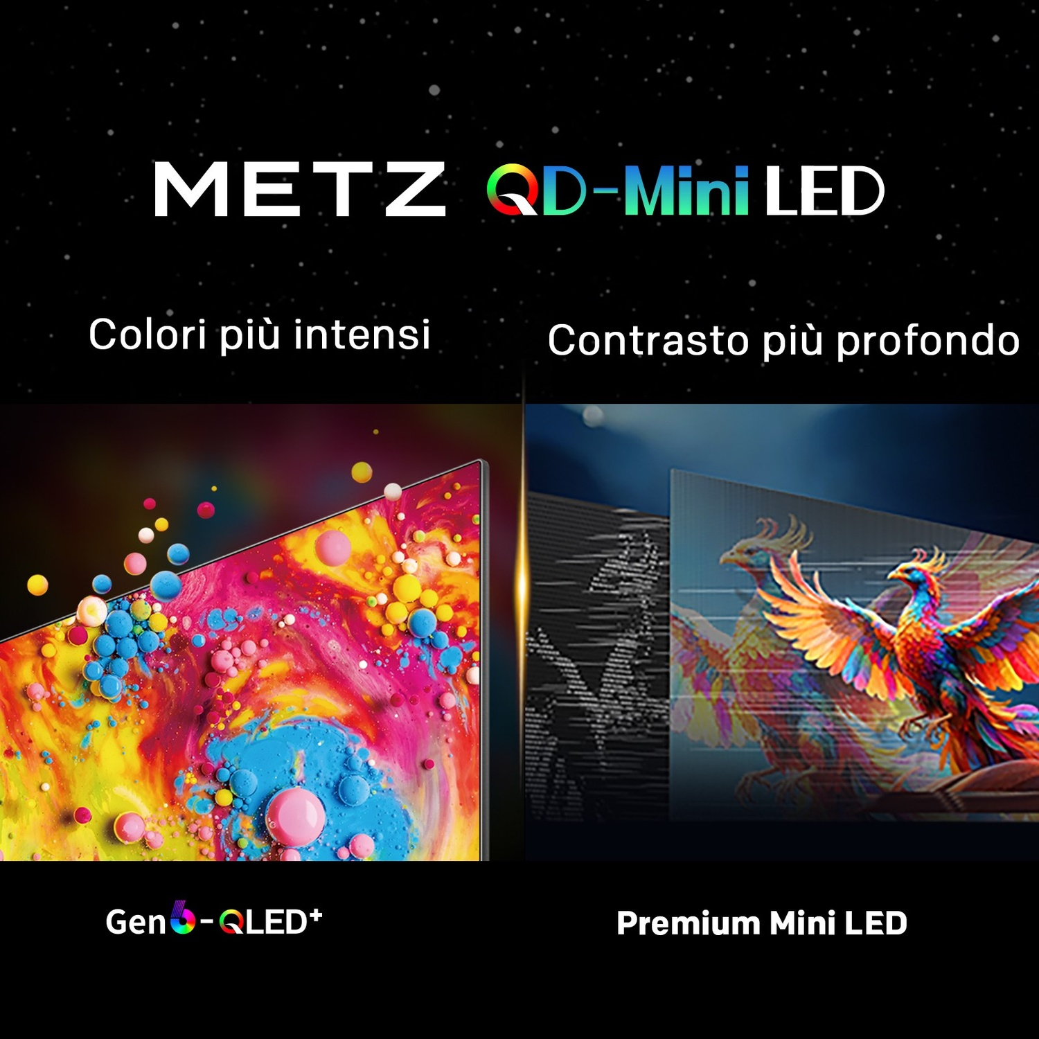 Schermo Metz QD-Mini LED con colori vivaci a sinistra e contrasto profondo con un uccello colorato a destra.