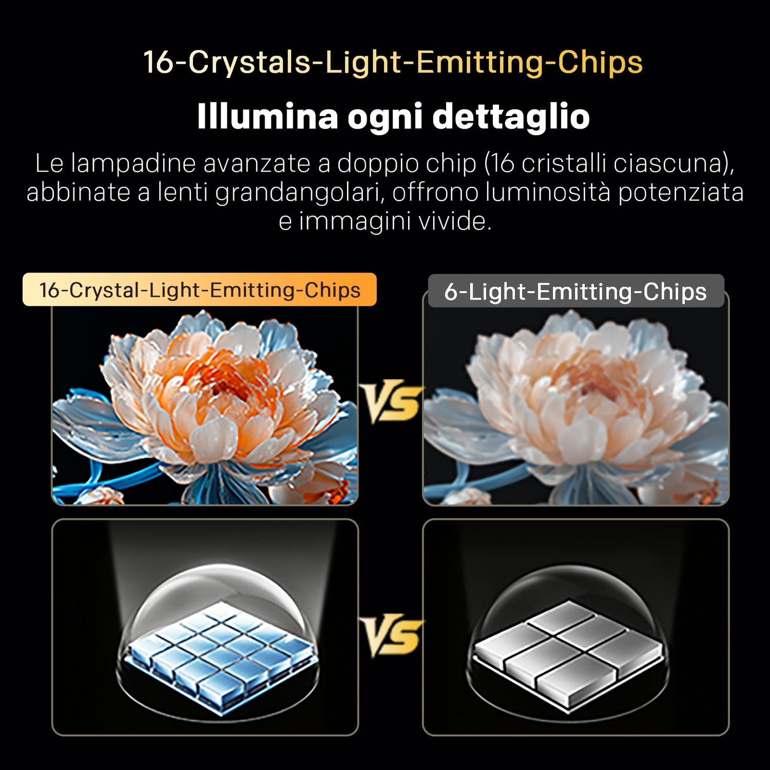 Il confronto tra LED a 16 e 6 chip mostra immagini floreali più luminose e strutture dettagliate.