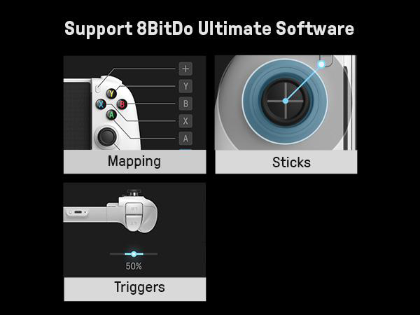 Diagramm zeigt 8BitDo Ultimate Software Funktionen für Tasten, Sticks und Trigger.